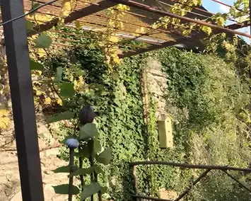 ferronnier à Bracieux - image 4