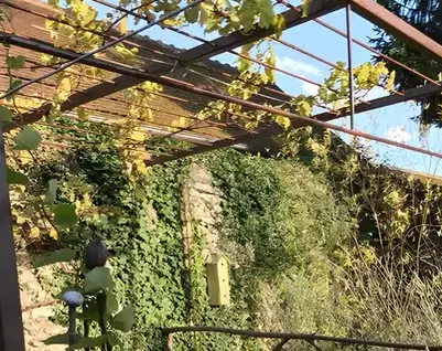 ferronnier à Mont-près-Chambord - image 3