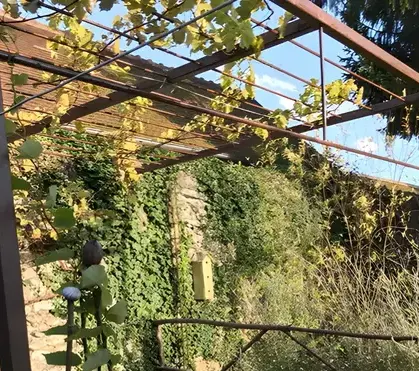 garde corps ferronnier Mont-près-Chambord-5